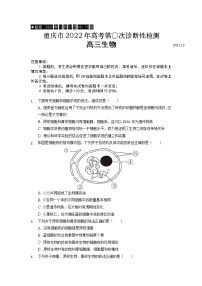 2022届重庆市缙云教育联盟高三12月第〇次诊断性检测生物试题含答案