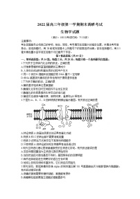 江苏省苏北四市（淮安）2021-2022学年高三上学期期末调研考试（一模）生物试题含答案