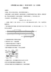 2021届百师联盟高三一轮复习联考（五）全国卷生物试题