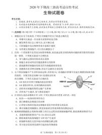 2021届湖南省邵阳市新邵县高三上学期新高考适应性考试生物试题 PDF版