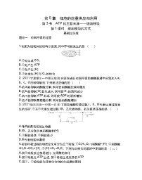 必修1《分子与细胞》第五章 细胞的能量供应和利用第3节 ATP的主要来源──细胞呼吸第1课时课时训练