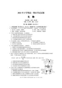 湖南省娄底市新化县2021-2022学年高一上学期期末考试生物PDF版含答案（可编辑）