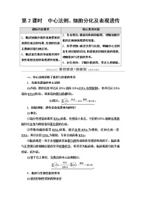 2021学年中心法则诠释了基因与生物性状的关系第2课时教学设计