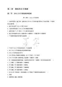 高中生物苏教版 (2019)必修2《遗传与进化》DNA分子的双螺旋结构模型同步练习题