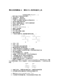 人教版 (2019)选择性必修3第3章 基因工程第1节 重组DNA技术的基本工具课时练习