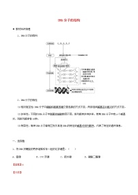 高一生物寒假作业同步练习题DNA分子的结构含解析