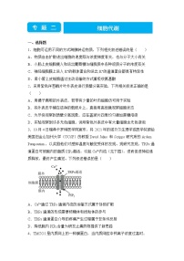 2022届高三二轮专题卷 生物（二） 细胞代谢 学生版