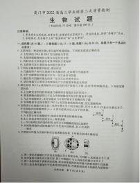 2022届福建省厦门市高三毕业班第二次质量检测（二模）生物试题含答案