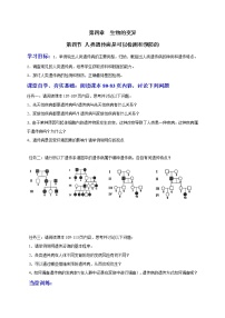 高中生物浙科版 (2019)必修2《遗传与进化》第四节 人类遗传病是可以检测和预防的导学案