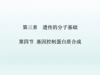 必修2《遗传与进化》第四节 基因控制蛋白质合成教课ppt课件