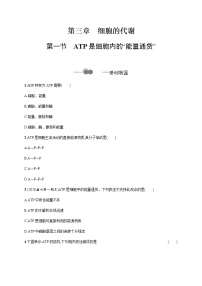 生物必修1《分子与细胞》第三章 细胞的代谢第一节 ATP是细胞内的“能量通货”课后练习题