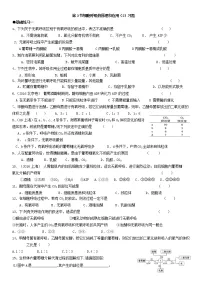 高中生物人教版 (2019)必修1《分子与细胞》第3节 细胞呼吸的原理和应用课时训练