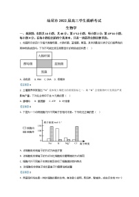 广东省汕尾市2022届高三上学期期末调研考试生物试题含答案