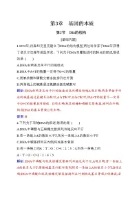 人教版 (2019)必修2《遗传与进化》第2节 DNA的结构同步训练题