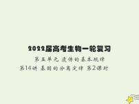 2022届新教材高考生物一轮复习第五单元遗传的基本规律第14讲第2课时分离定律的常规解题规律及方法课件