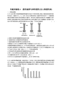 人教版新高考生物二轮复习专题训练--遗传规律与伴性遗传(含人类遗传病)