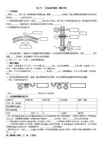 高中第2节 主动运输与胞吞、胞吐导学案