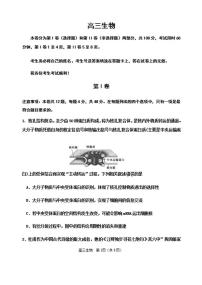 天津市红桥区2020届高三第二次模拟考试（二模）生物试题含答案