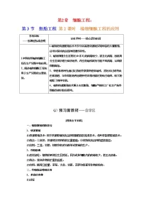 人教版 (2019)选择性必修3二 胚胎工程技术及其应用第2课时学案及答案