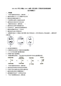 人教版 (2019)必修2《遗传与进化》第1节 基因突变和基因重组习题