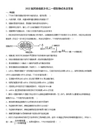 2022届河南省新乡高三一模生物试卷及答案