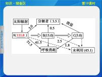 高中生物人教版必修3课件:5-19生态系统的物质循环