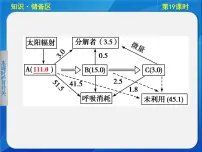 高中生物人教版必修3课件:5-19生态系统的物质循环