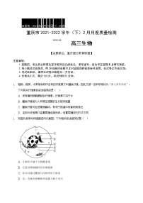 2022届重庆市缙云教育联盟高三下学期2月质量检测生物试题含答案