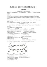 2021届福建省泉州市高三毕业班质量监测（一）生物试卷 PDF版