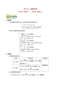 考点16  细胞呼吸-备战2022年高考生物一轮复习考点一遍过学案