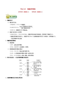 考点19  细胞的增殖-备战2022年高考生物一轮复习考点一遍过学案