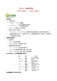 考点19 细胞的增殖-备战2022年高考生物一轮复习考点一遍过学案