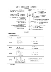 专题06  细胞的生命历程（含减数分裂）-备战 高考生物二轮复习题型专练