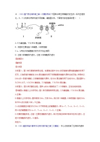 专题09 遗传的物质基础（DNA的结构、复制、转录、翻译）- 高三生物模拟试卷分类汇编（1月刊）