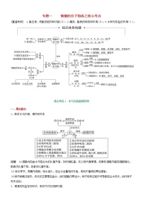 高考生物二轮复习核心考点冲刺专题01《细胞的分子组成》（含详解）
