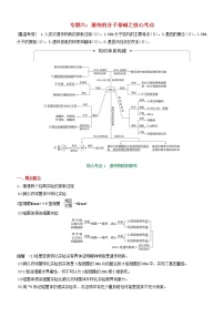 高考生物二轮复习核心考点冲刺专题06《遗传的分子基础》(含详解)