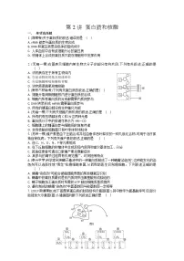 高考生物一轮复习作业本:第1单元第2讲《蛋白质和核酸》(含详解)