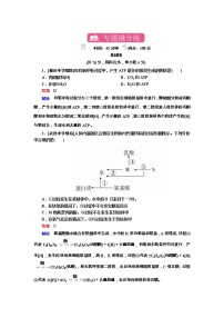 高考生物一轮复习专题训练：专题5《细胞呼吸》（含详解）