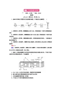 高考生物一轮复习专题训练:专题6《光合作用》(含详解)