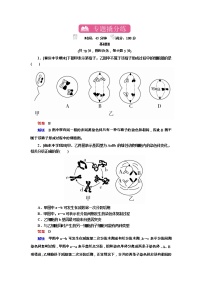 高考生物一轮复习专题训练：专题9《遗传的细胞基础》（含详解）