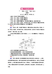高考生物一轮复习专题训练：专题17《人体内环境的稳定与调节》（含详解）