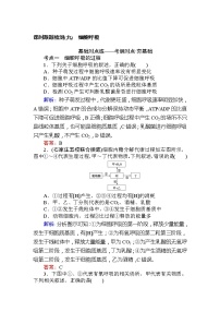 高考生物一轮复习课时跟踪检测：09《细胞呼吸》（含详解）