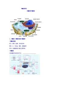 高考生物二轮专题复习学案：5细胞的结构（细胞质和细胞核）