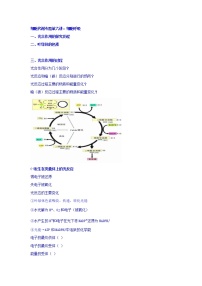 高考生物二轮专题复习学案：6光合作用（二）光合作用原理及应用