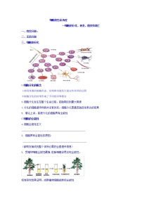 高考生物二轮专题复习学案：2细胞的分化、衰老、癌变和凋亡