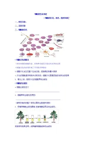 高考生物二轮专题复习学案:2细胞的分化、衰老、癌变和凋亡