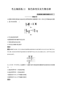 高考生物一轮复习考点规范练22《染色体变异及生物育种》（含详解）