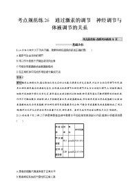 高考生物一轮复习考点规范练26《通过激素的调节　神经调节与体液调节的关系》（含详解）