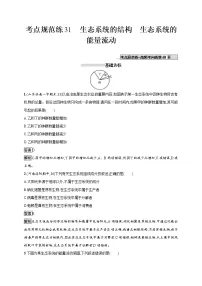 高考生物一轮复习考点规范练31《生态系统的结构 生态系统的能量流动》(含详解)