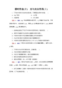 高考生物一轮复习课时作业10《光与光合作用(Ⅰ)》(含详解)